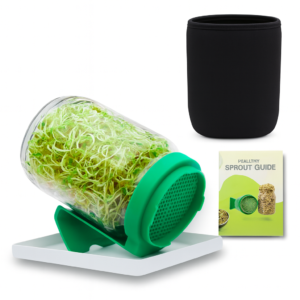 Sprout Maker Jar